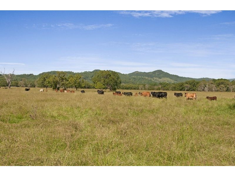 156 THE POCKET Road, Billinudgel NSW 2483