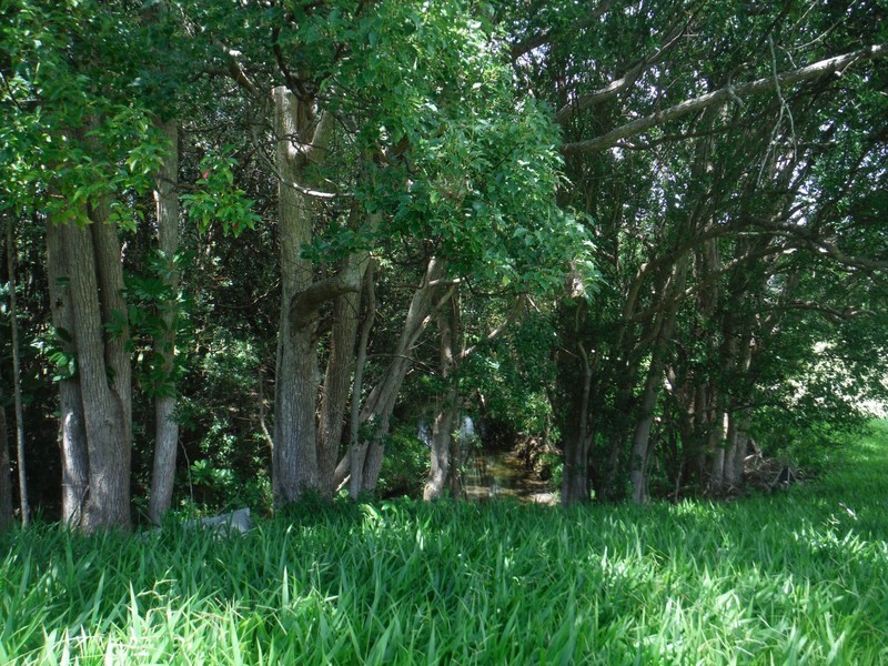 156 THE POCKET Road, Billinudgel NSW 2483