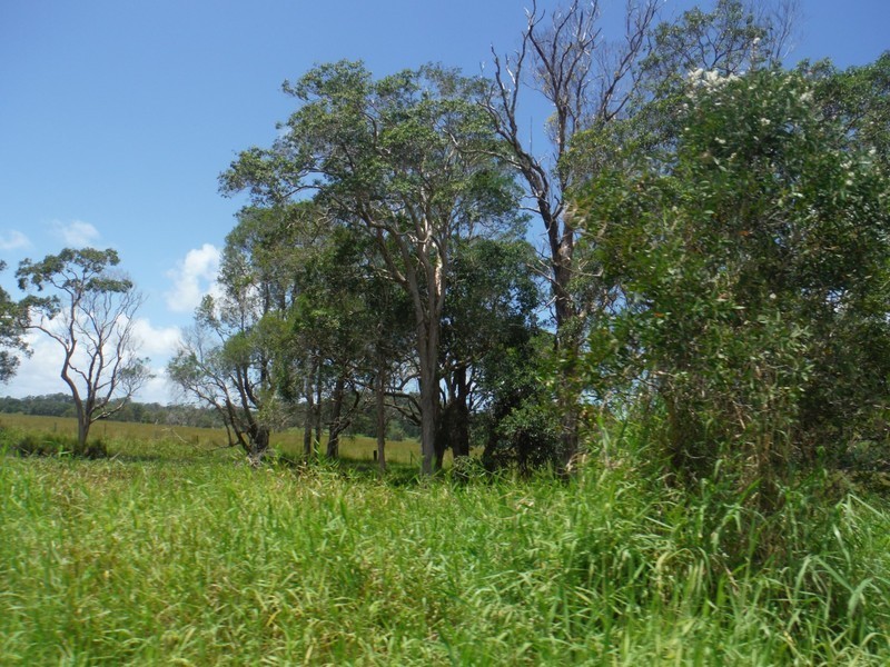 156 THE POCKET Road, Billinudgel NSW 2483