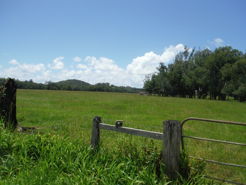 156 THE POCKET Road, Billinudgel NSW 2483