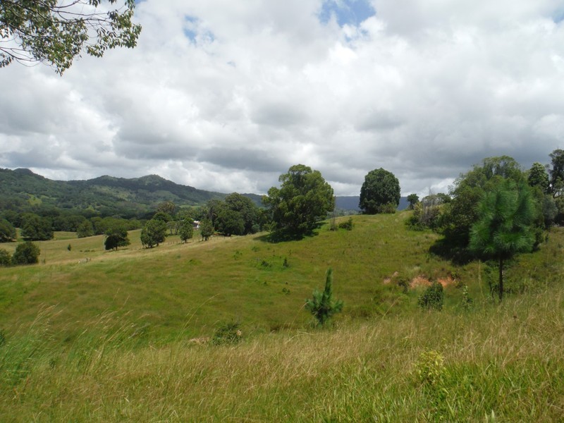 156 THE POCKET Road, Billinudgel NSW 2483