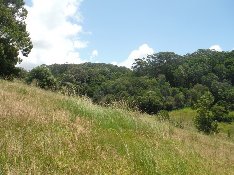 156 THE POCKET Road, Billinudgel NSW 2483