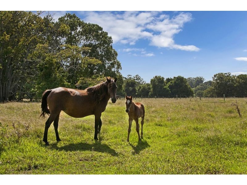 156 THE POCKET Road, Billinudgel NSW 2483