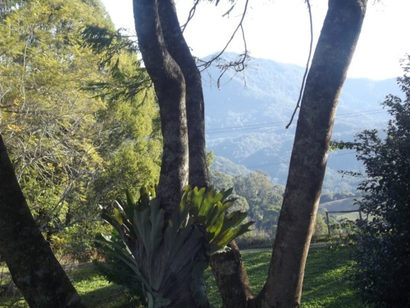 954 The Pocket Road, The Pocket NSW 2483