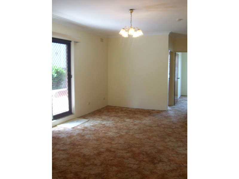 49 Bexley Road, Campsie NSW 2194