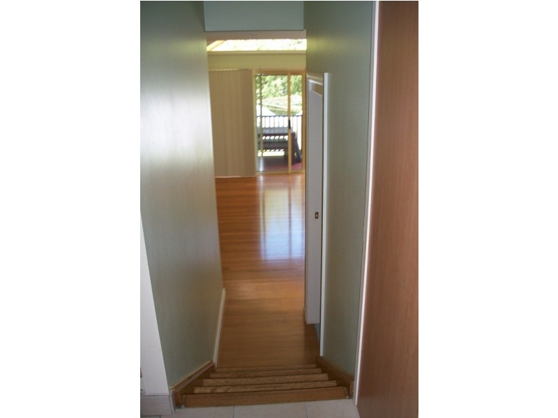 16 Cameron Street, Bexley NSW 2207