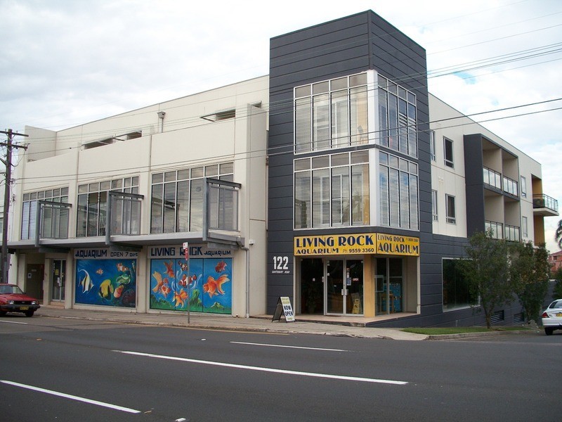 122 Canterbury Road, Hurlstone Park NSW 2193