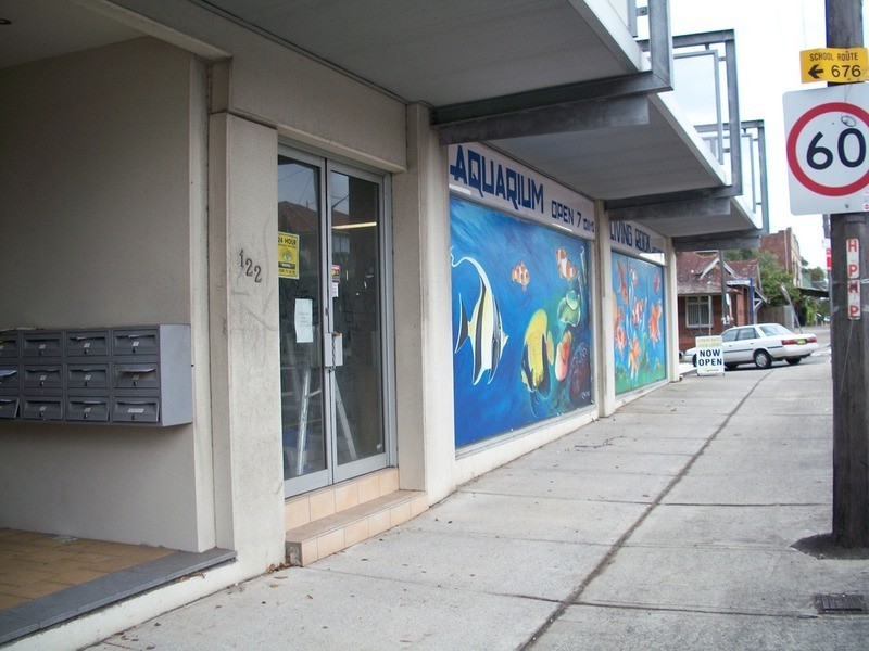 122 Canterbury Road, Hurlstone Park NSW 2193