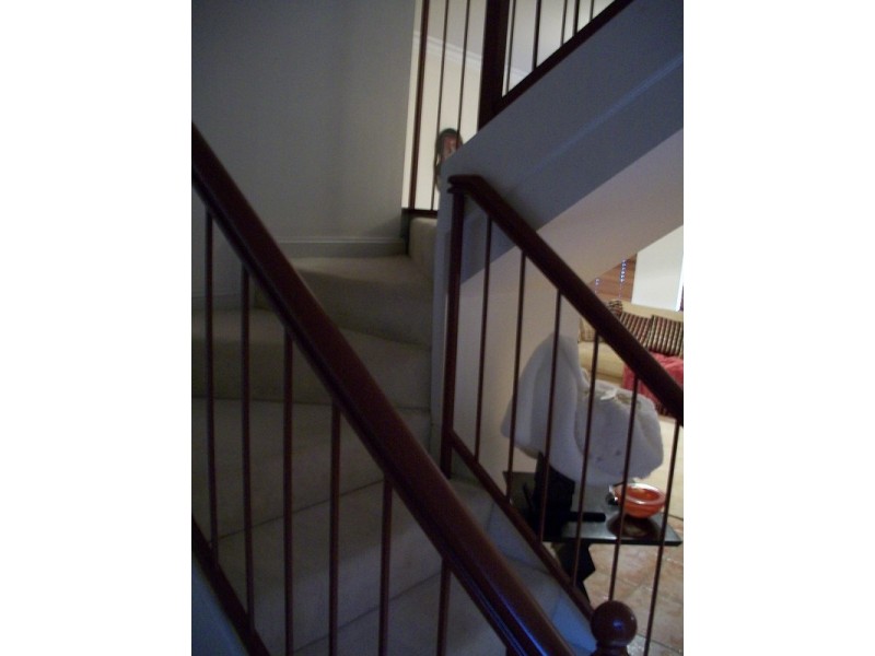 24 First Avenue, Campsie NSW 2194