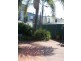 2/346 Stanmore Road, Petersham NSW 2049