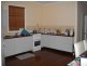 66 Viking Street, Campsie NSW 2194