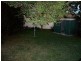 66 Viking Street, Campsie NSW 2194