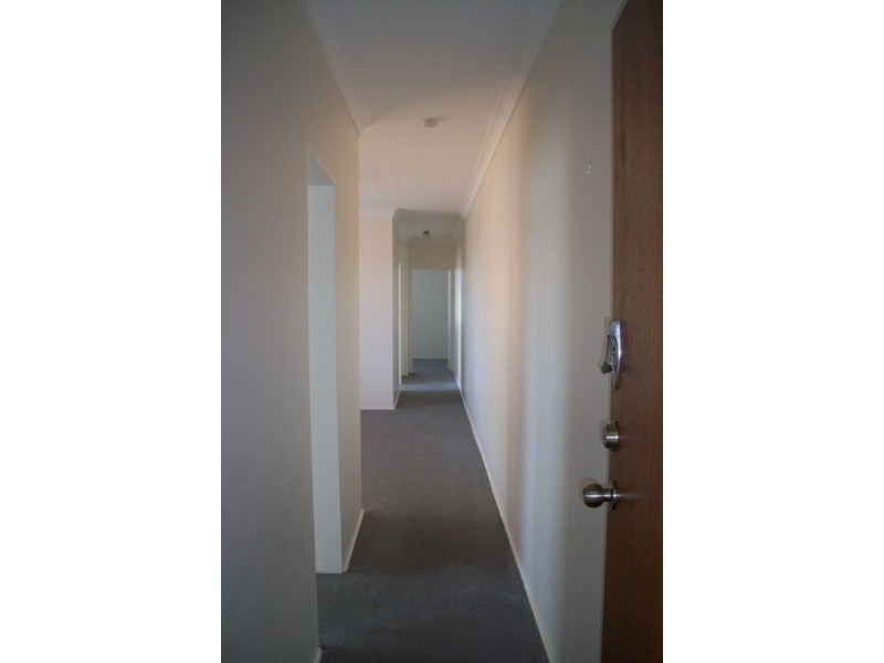 3/64 Amy Street, Campsie NSW 2194