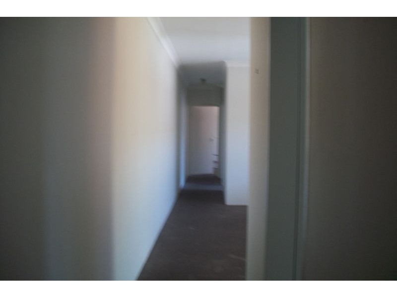 5/64 Amy Street, Campsie NSW 2194