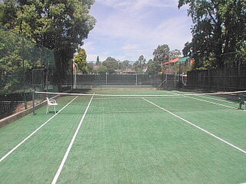 37 Bancroft Avenue, Roseville NSW 2069