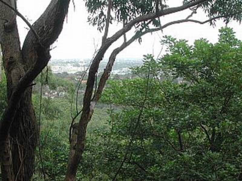 301/284 Pacific Highway, Artarmon NSW 2064