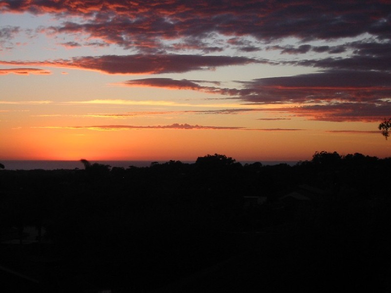 7 Courtley Road, Beacon Hill NSW 2100