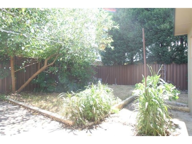 95 Renwick Street, Leichhardt NSW 2040