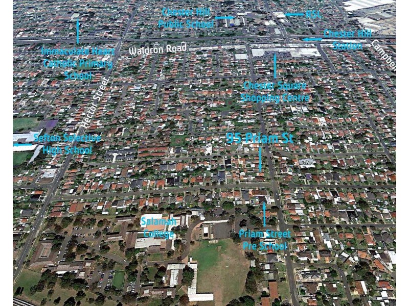 95 Priam Street, Chester Hill NSW 2162