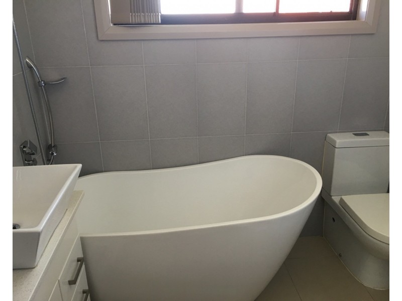 153A Miller Road, Chester Hill NSW 2162