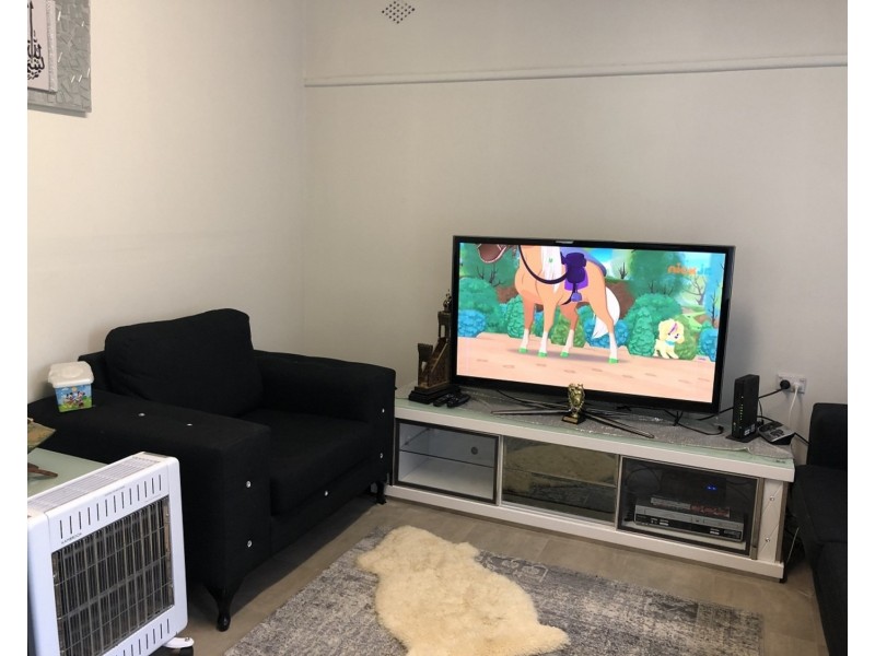 30 Brown Street, Chester Hill NSW 2162