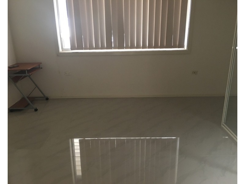 158 Hector Street, Chester Hill NSW 2162