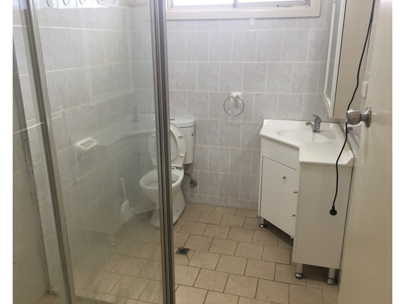 158 Hector Street, Chester Hill NSW 2162