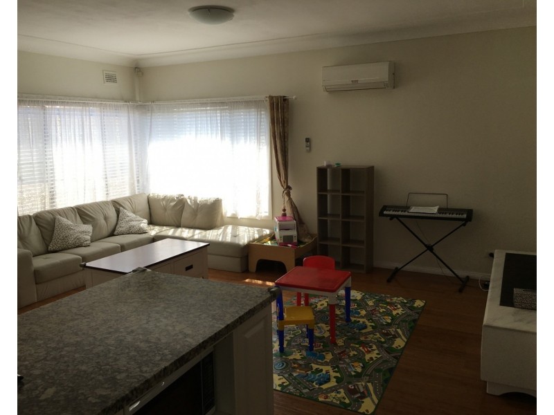 46 Amesbury Avenue, Sefton NSW 2162