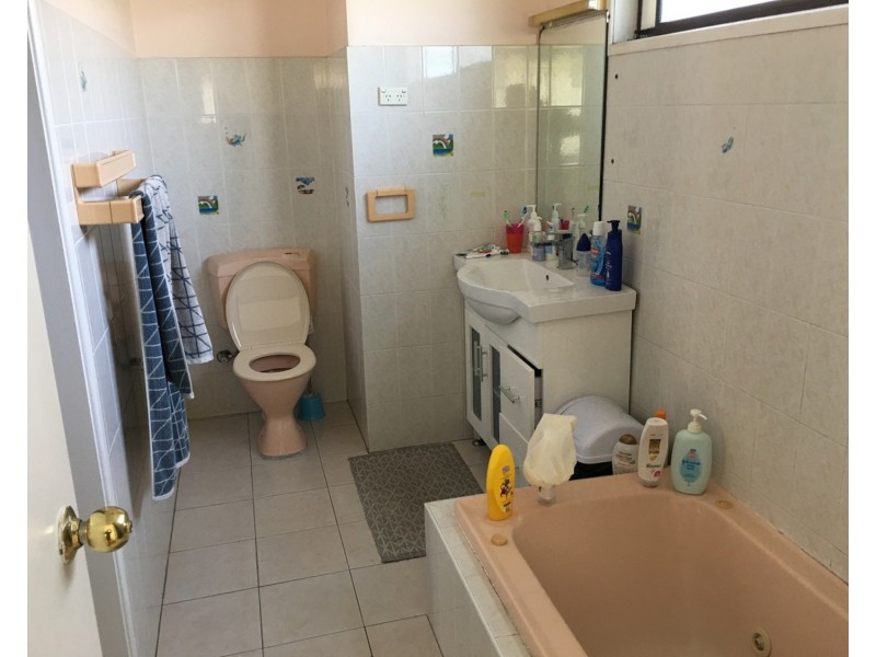 46 Amesbury Avenue, Sefton NSW 2162