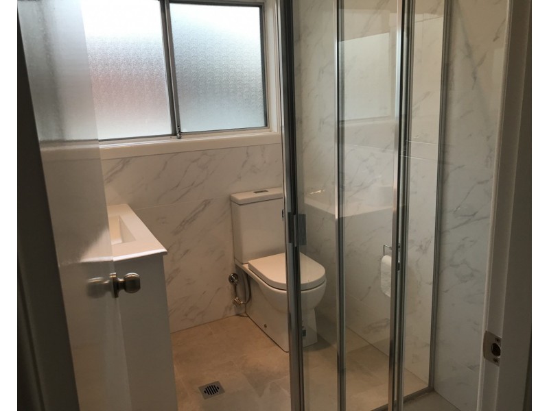 182 Virgil Avenue, Chester Hill NSW 2162