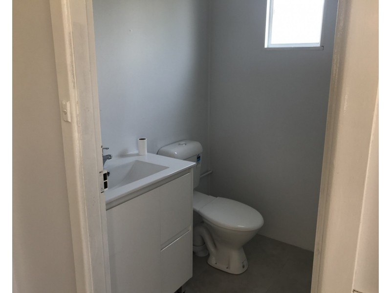 182 Virgil Avenue, Chester Hill NSW 2162