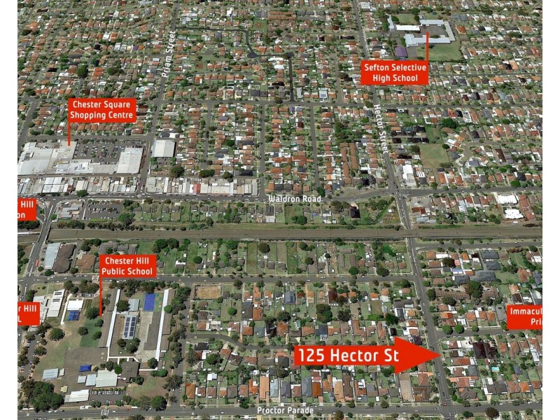 125 Hector Street, Sefton NSW 2162