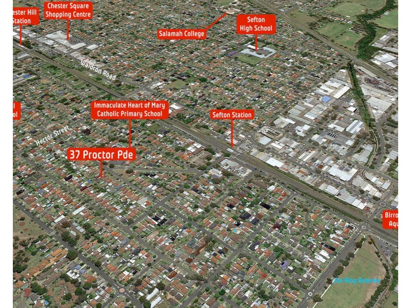 37 Proctor Parade, Sefton NSW 2162