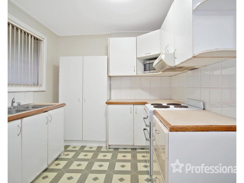 20 Parkham Street, Chester Hill NSW 2162