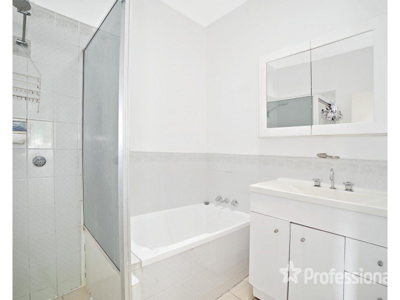 20 Parkham Street, Chester Hill NSW 2162