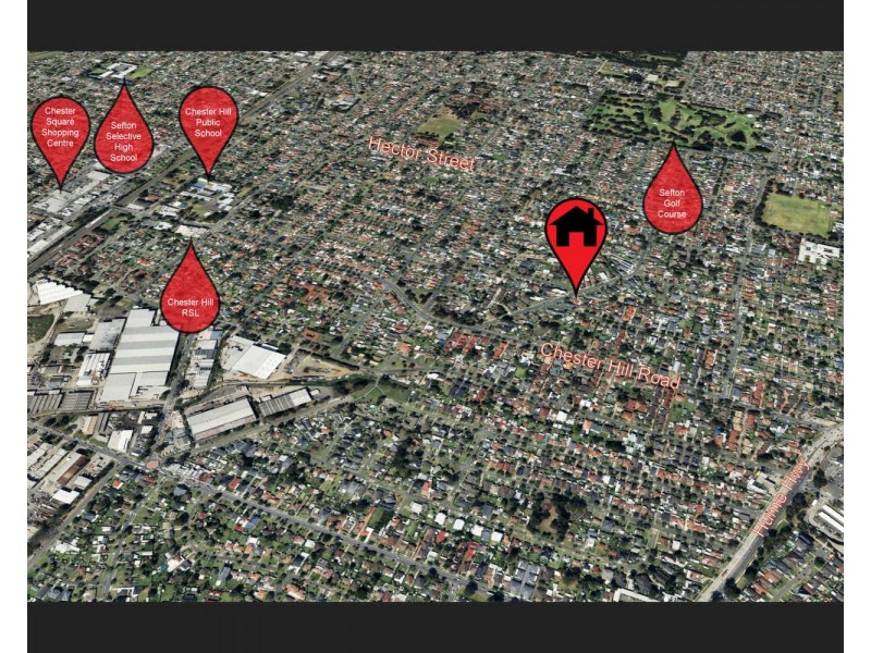 20 Cann Street, Bass Hill NSW 2197