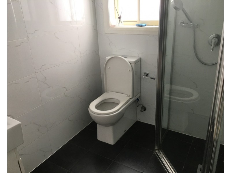 54A Elliston Street, Chester Hill NSW 2162