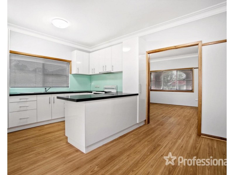 13 Newman Street, Bass Hill NSW 2197