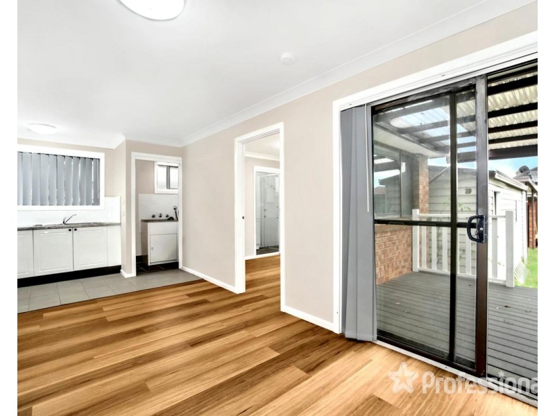 13 Newman Street, Bass Hill NSW 2197