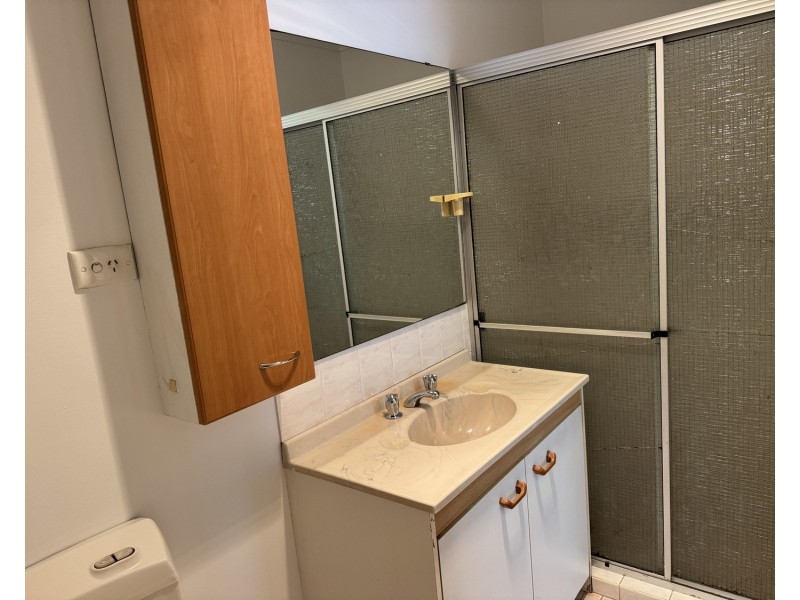 99 Chester Hill Road, Bass Hill NSW 2197