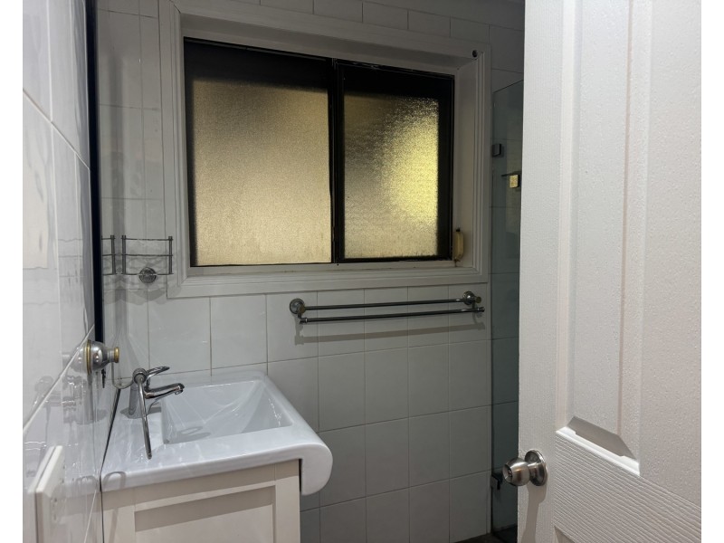 170 Hector Street, Chester Hill NSW 2162