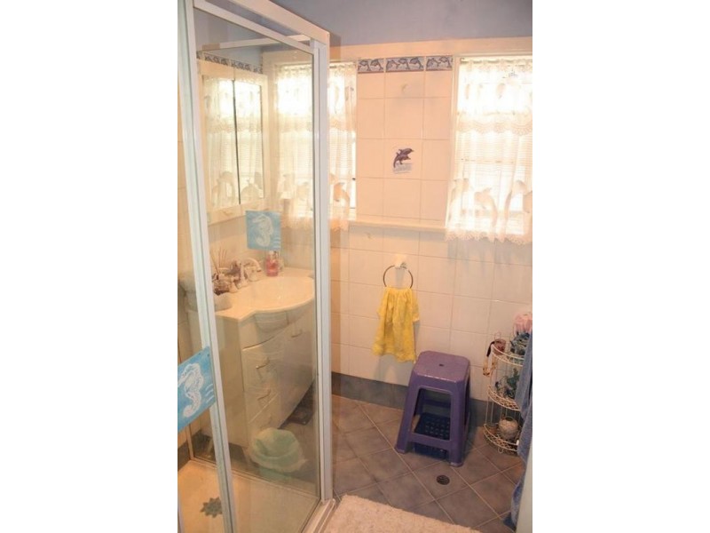 17 Elliston Street, Chester Hill NSW 2162