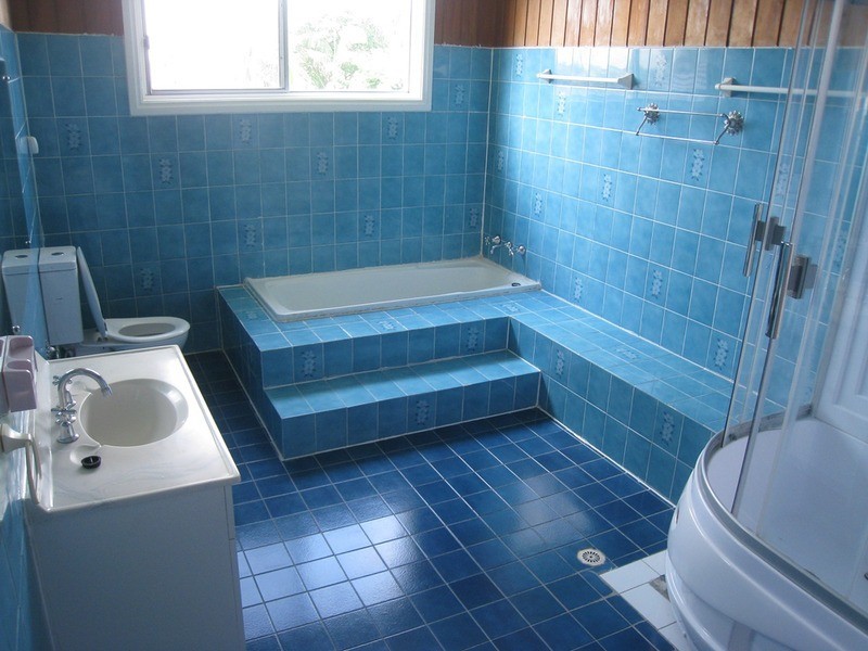 19 Curtis  Road, Chester Hill NSW 2162