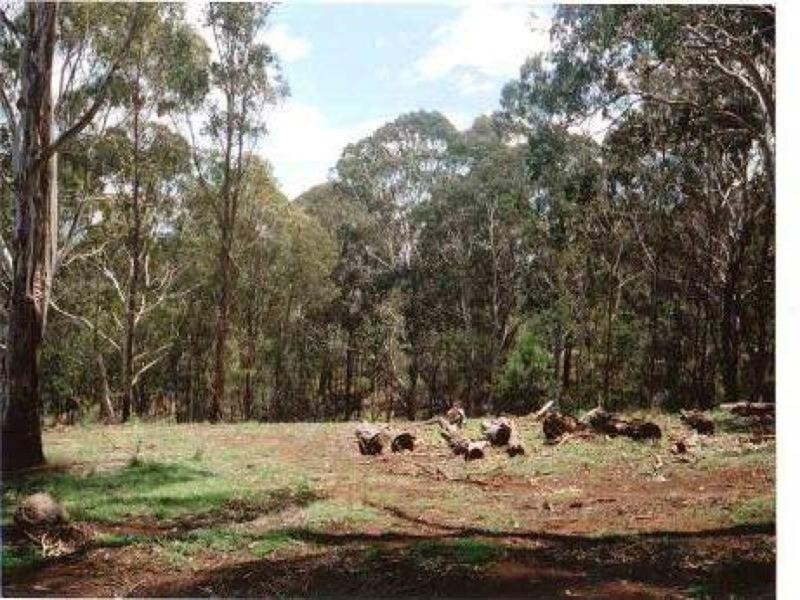 40 Florabunda, Nethercote NSW 2549