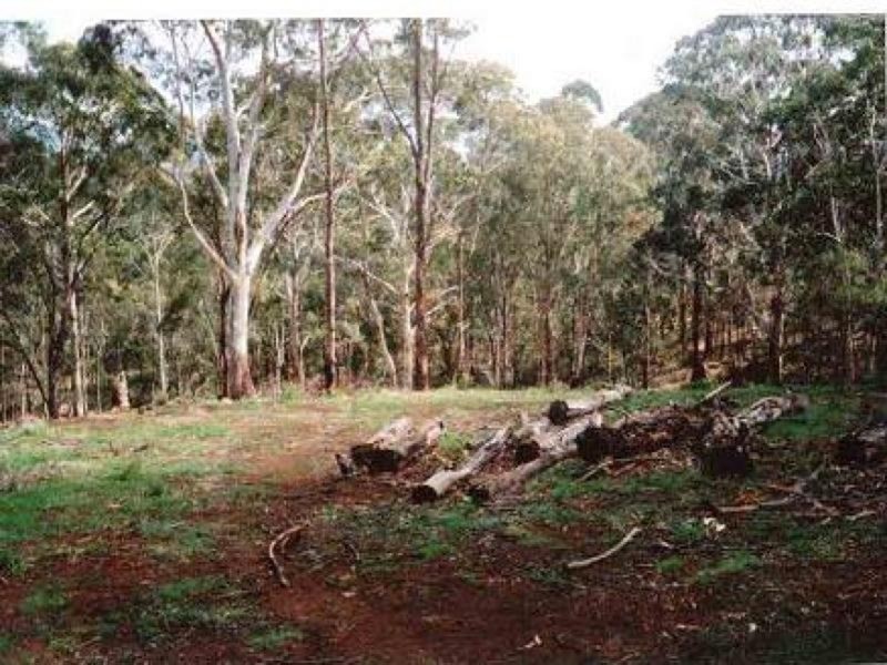 40 Florabunda, Nethercote NSW 2549