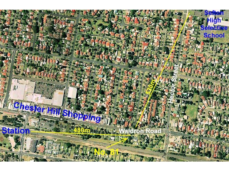 81 Waldron Road, Chester Hill NSW 2162