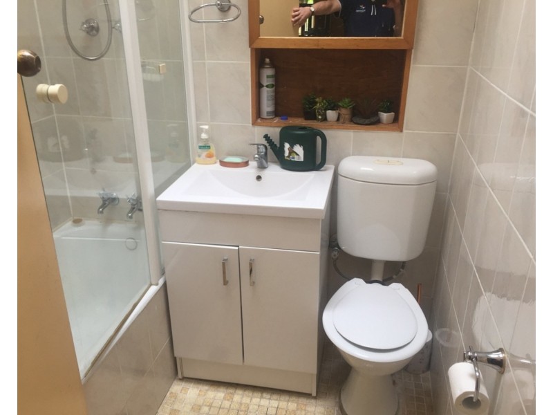 53 Ferndell Street, Chester Hill NSW 2162