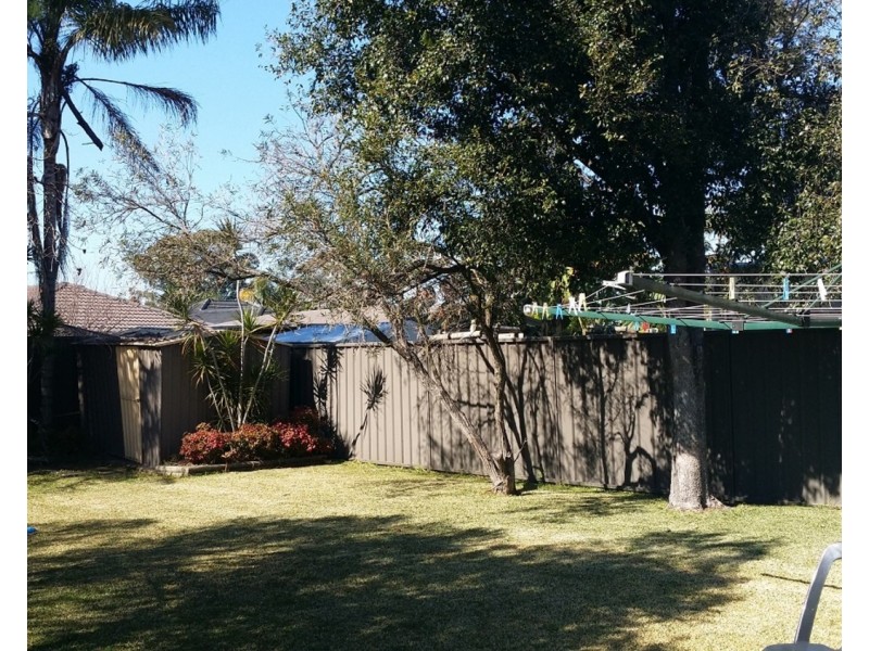 53 Ferndell Street, Chester Hill NSW 2162