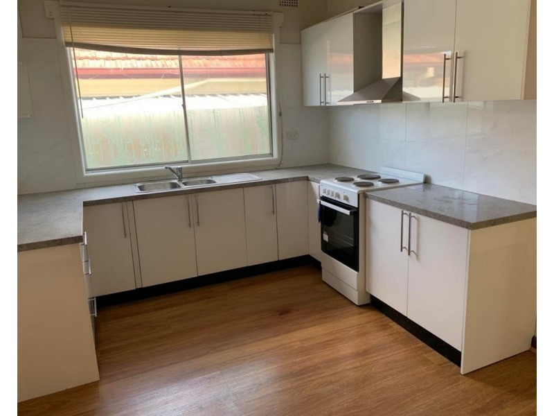 54 Elliston Street, Chester Hill NSW 2162