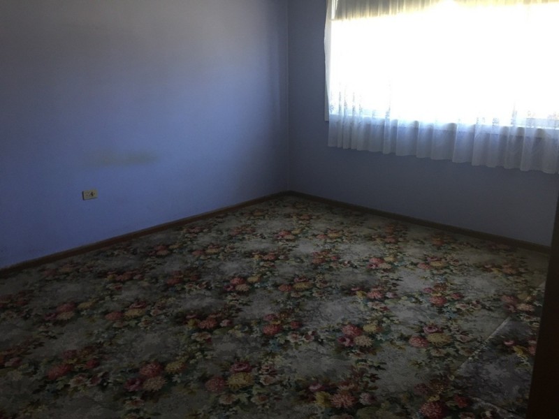 39 Dorothy Street, Chester Hill NSW 2162